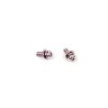 Rose galvanized sems screw with two washers